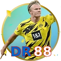 DR88