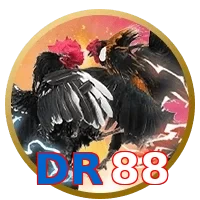 DR88