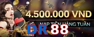 DR88